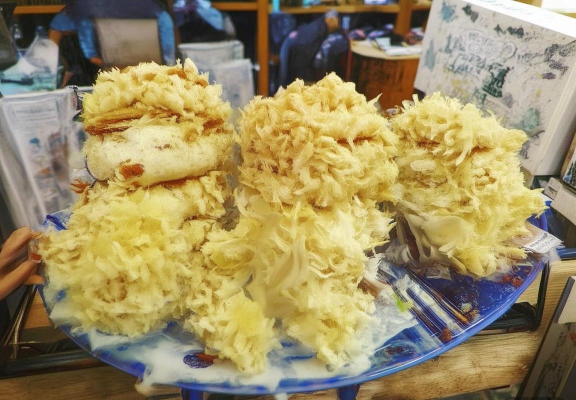 2008年北京奥运会男篮巅峰对决：姚明易建联力挽狂澜经典瞬间回顾(图3)